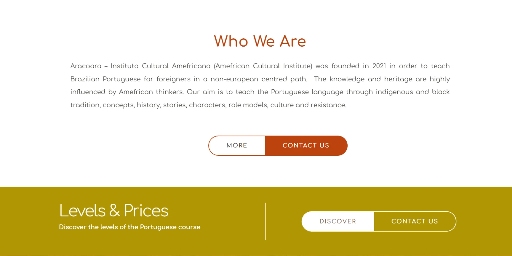 Tela histórica do website ARACOARA com a seção Who We Are.