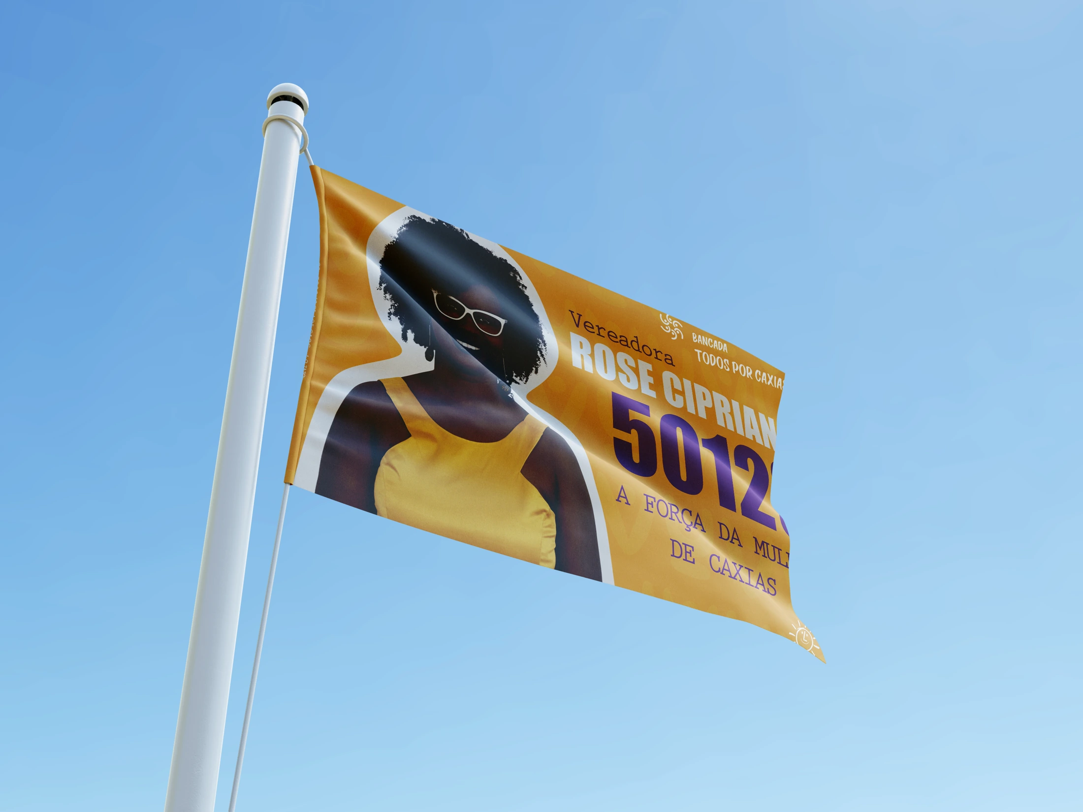 ROSE CIPRIANO — Bandeira do projeto